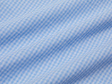 Cicy Bell Womens Sky Blue Plaid Shirts