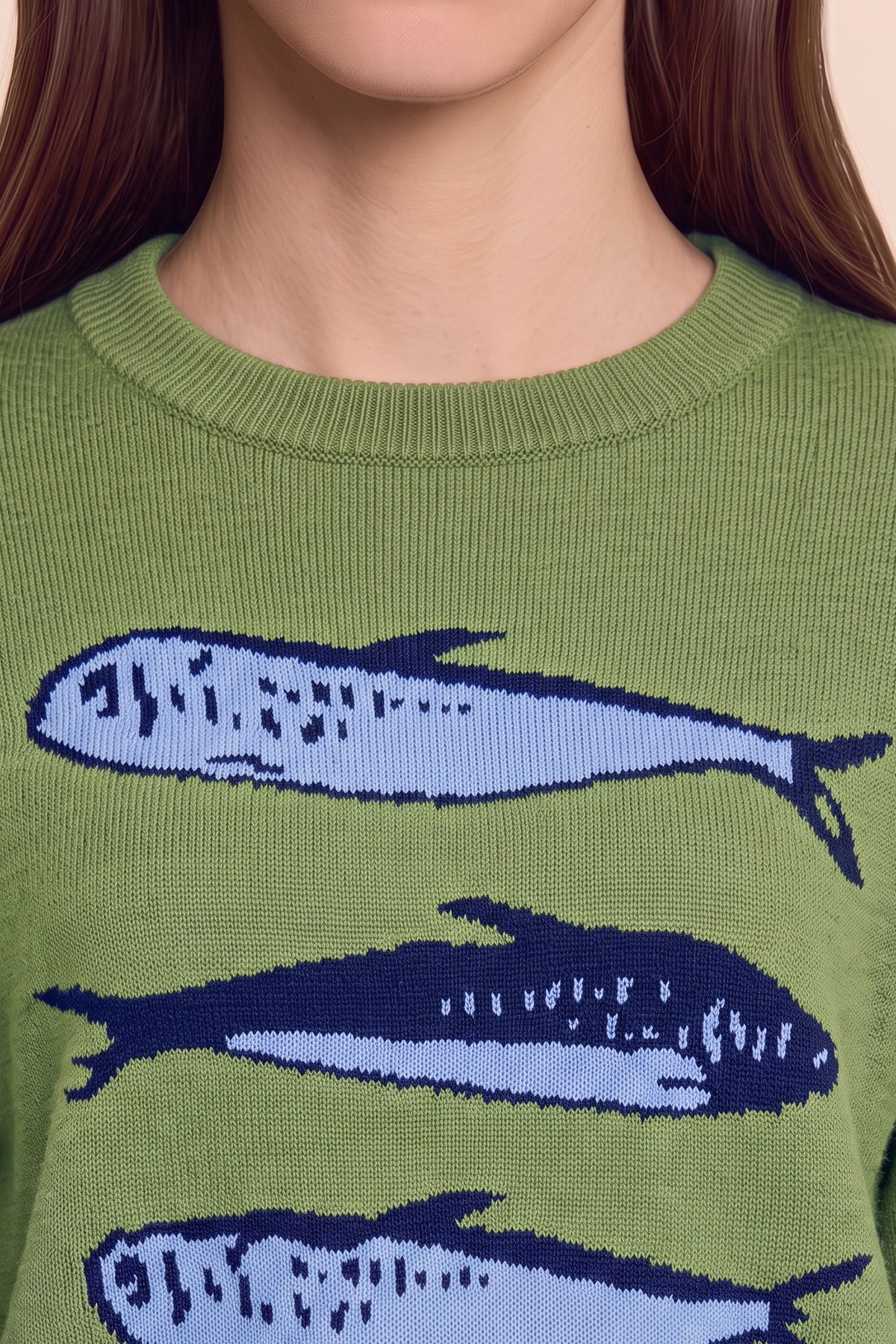Womens Green Fish Graphic Knit Sweaters | CicyBell